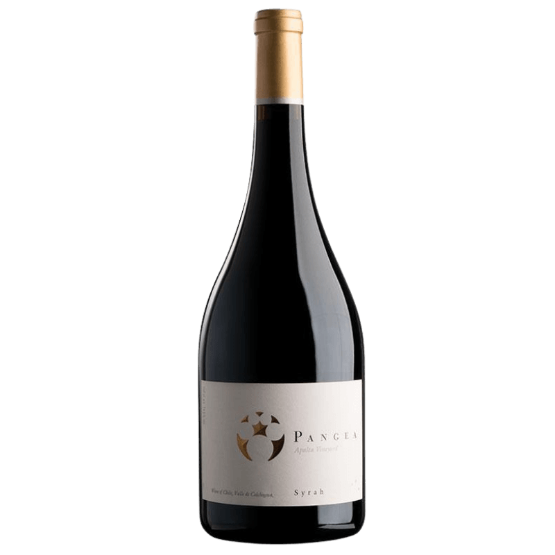 Ventisquero Pangea Syrah