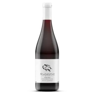 Gonzalo Santibañez Rupestre Syrah