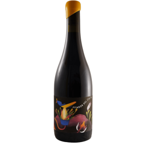 Prado Aviador Del Itata Pais